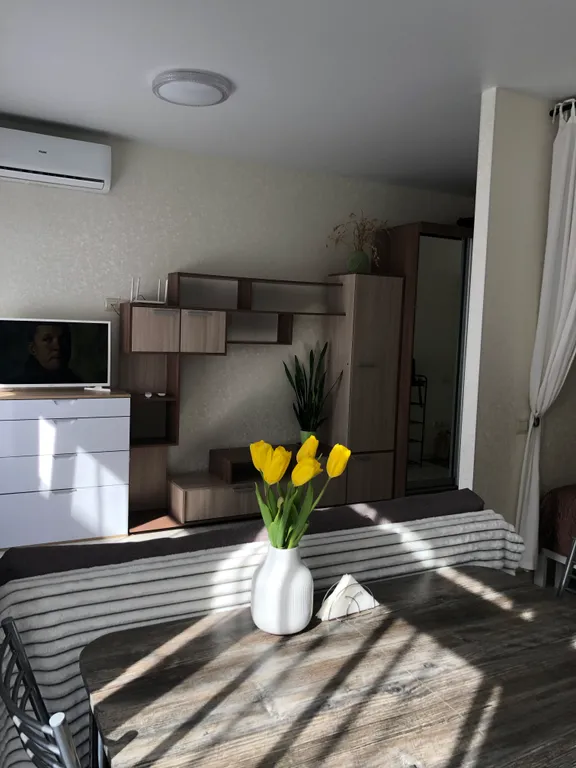 Квартира Квартира Уютная студия в Сириусе — Сириус