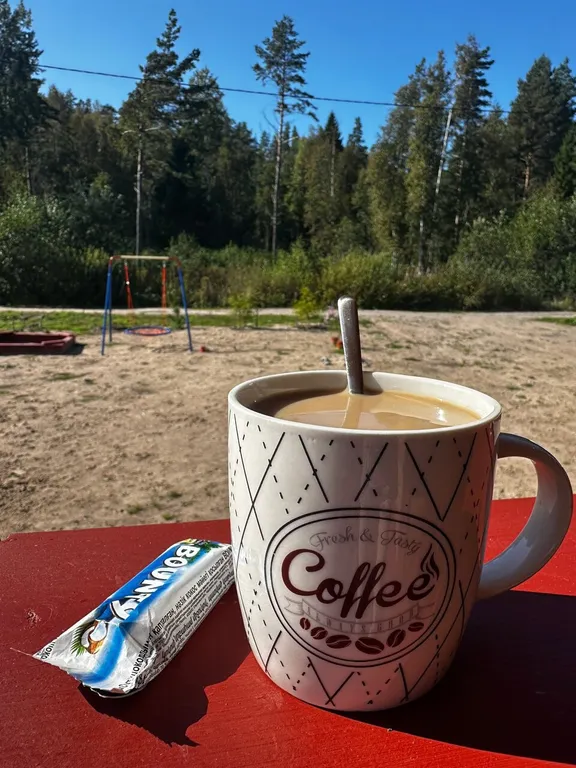 Коттедж Новый дом на Ладоге рядом с пляжем — Приозерск