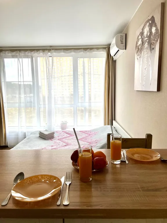 Просторная студия Африка