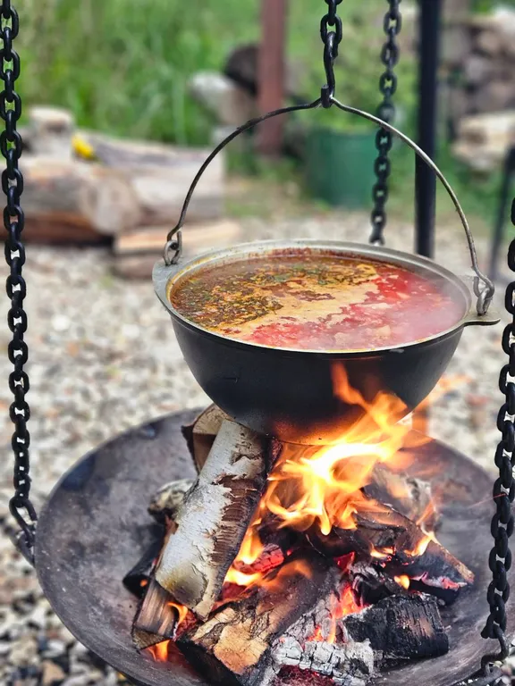 Красивые панорамные домики около леса