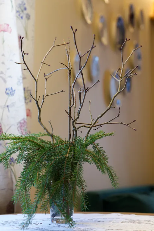 Финский дом Миеликки. Дача с камином и купелью