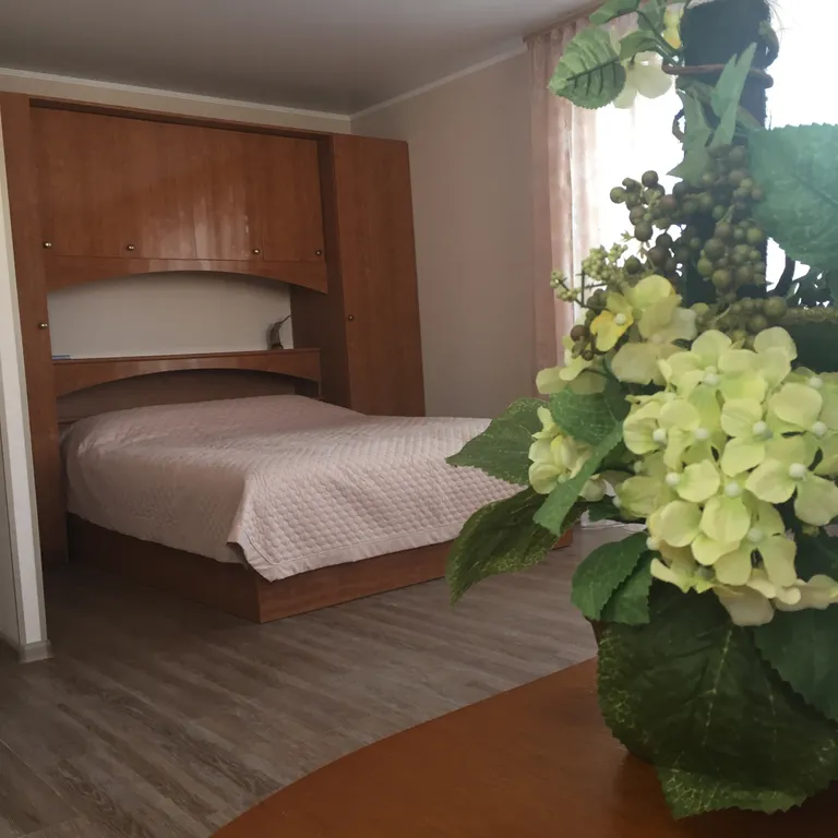 Квартира Уютные апартаменты — аренда посуточно в Петропавловск-Камчатский