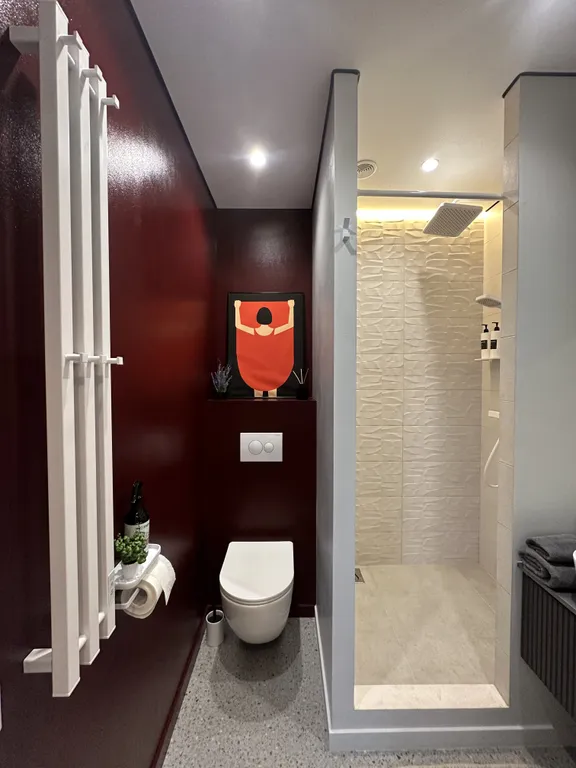 Vip flat в центре города