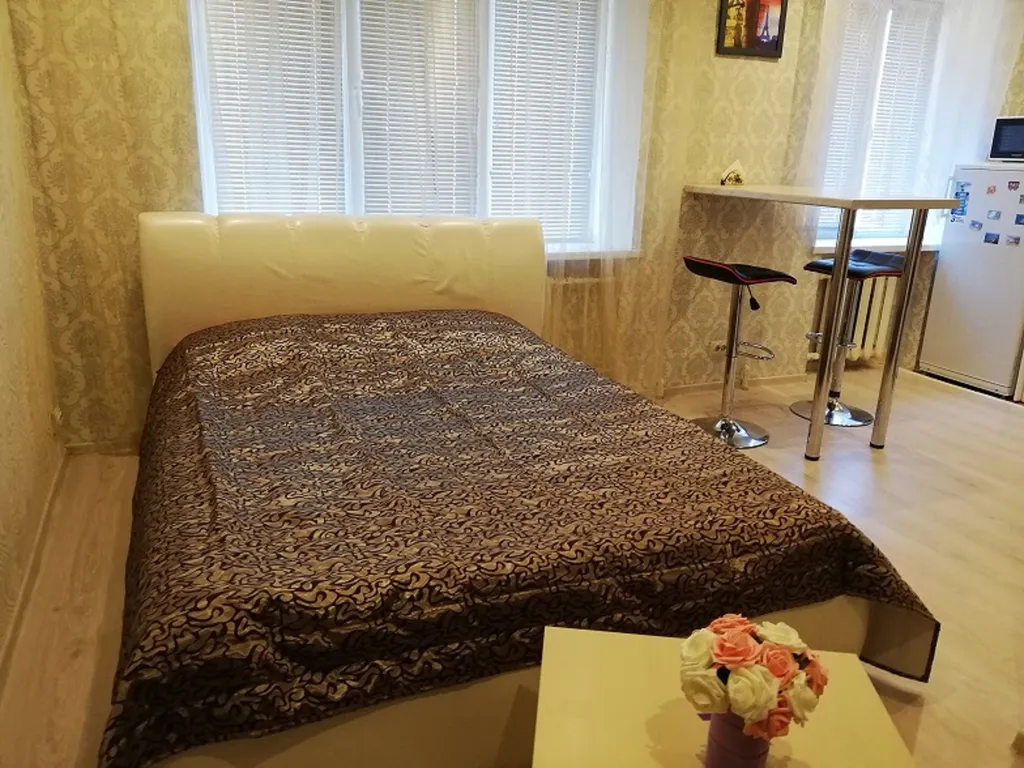 Студия в центре Борисова