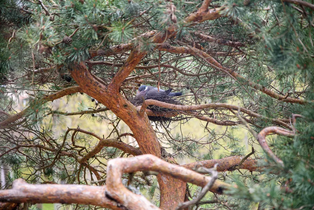 Новый дизайнерский апартамент в тихом центре Светлогорск