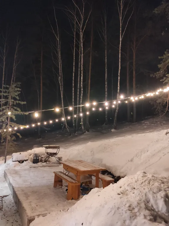 Видовой дом в лесу