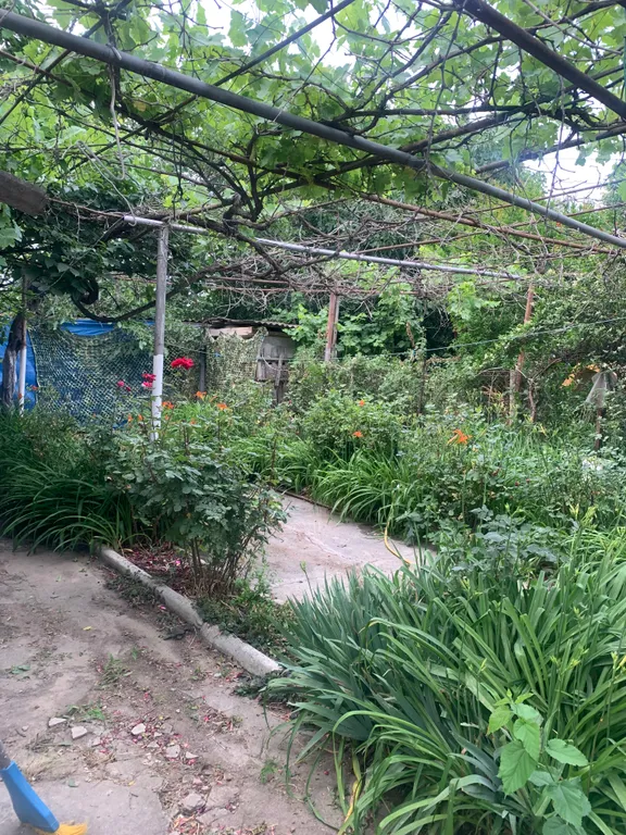 Деревенский дом, в восьми километрах от Каспийского моря