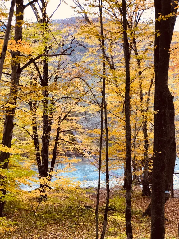 Таунхаус с 2 спальнями с видом на горы