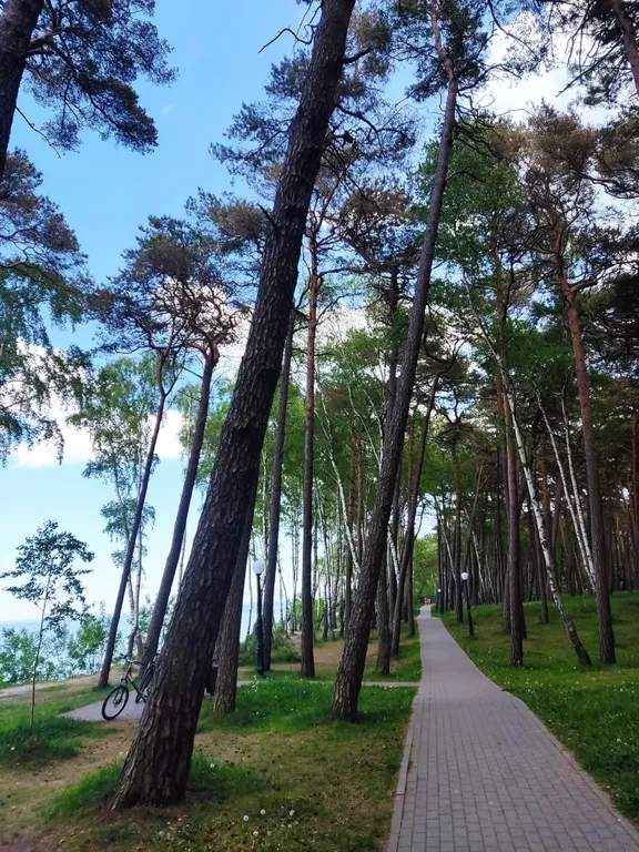 Уютные апартаменты на Балтийском море