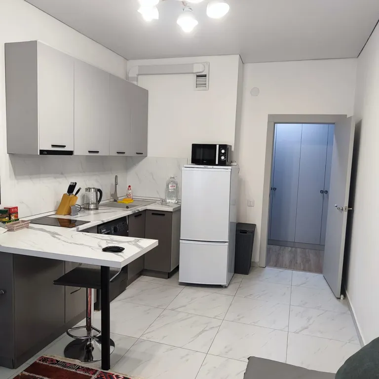 Уютная квартира возле гостиницы Казахстан города Алматы