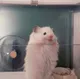 БУ