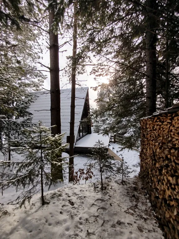 Атмосферный дом шале с видом на лес