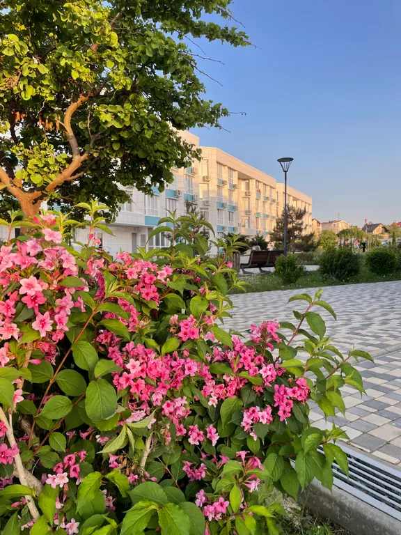 Квартира Апартаменты на первой линии у моря с бассейном Лифт Свежий ремонт — Севастополь