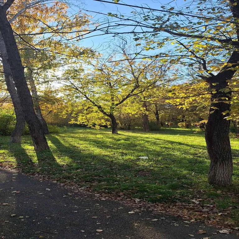 Уютные апартаменты в Новоабзаково