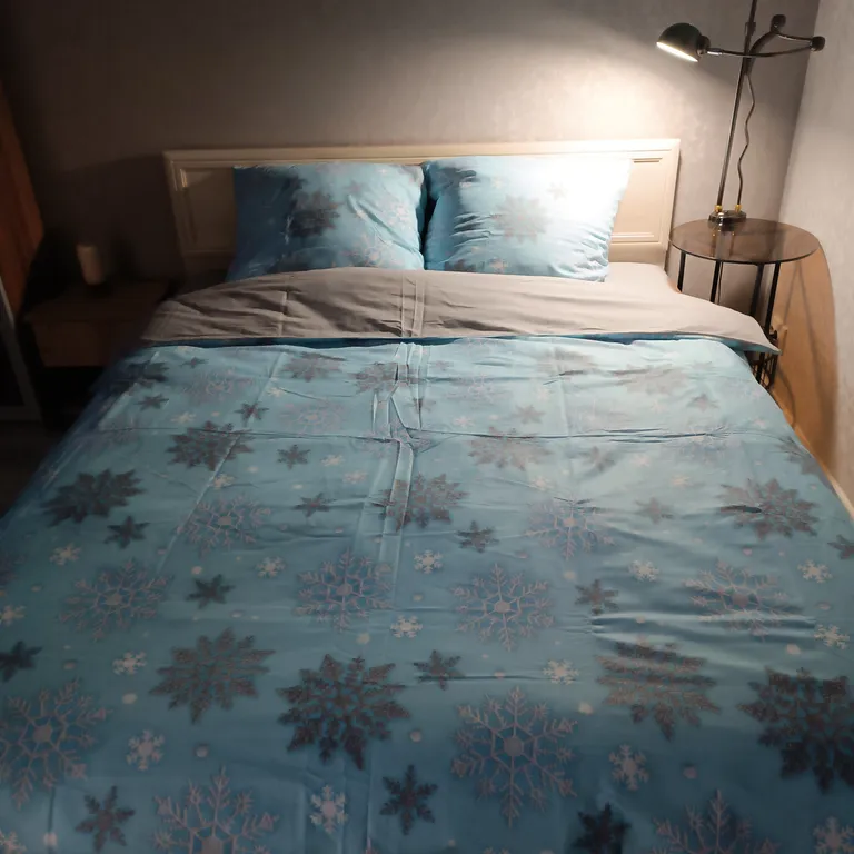 Квартира в центре города House of History