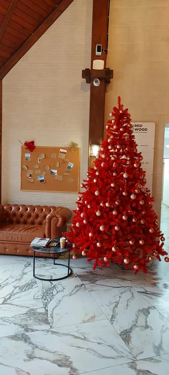 Апартамент комфорт улучшенный рядом с канатной дорогой