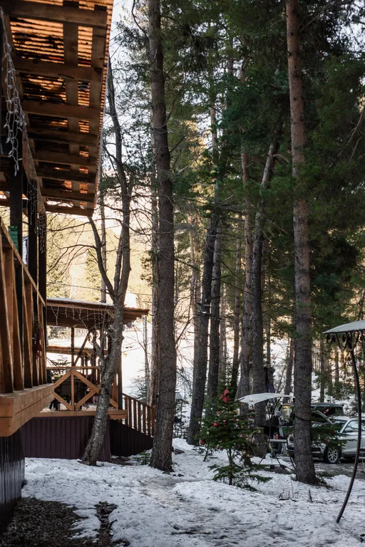 Коттедж Домики в лесу Миллениум — Архыз