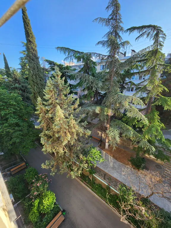 Однокомнатная квартира в центре города