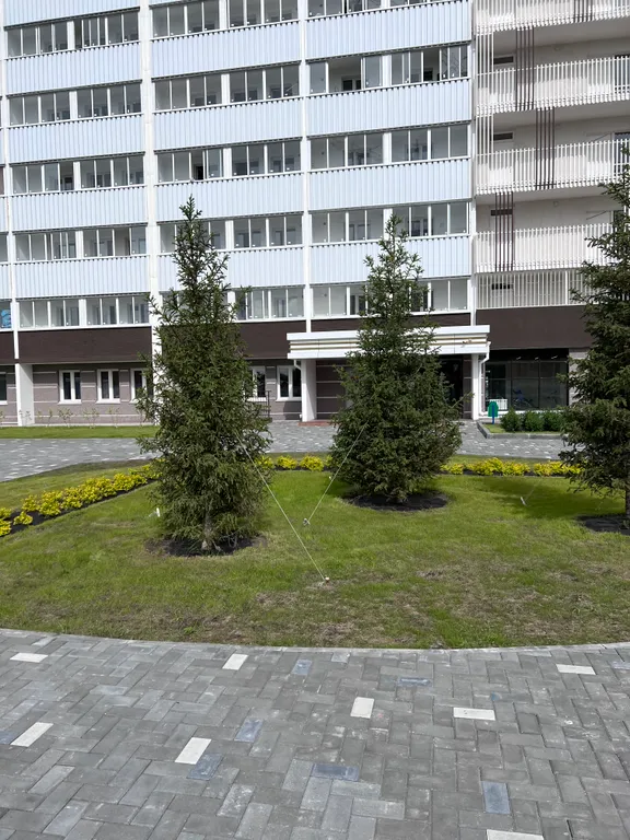 Квартира Комфортная квартира от собственника — Новосибирск