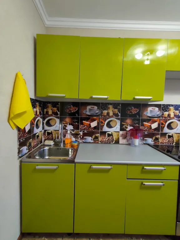 Уютная просторная квартира на берегу озера Сенеж