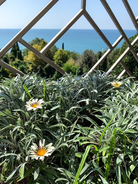 Бассейн. Живописный вид на море