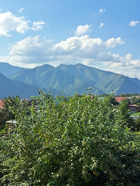 Большой номер