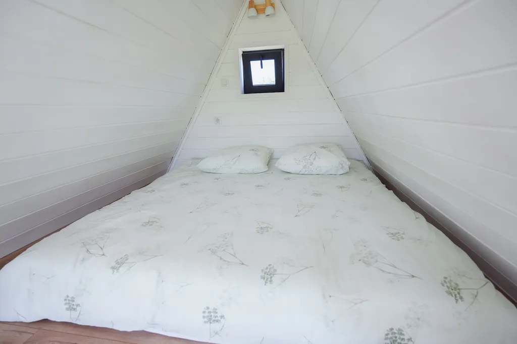 Дом с видом на лес