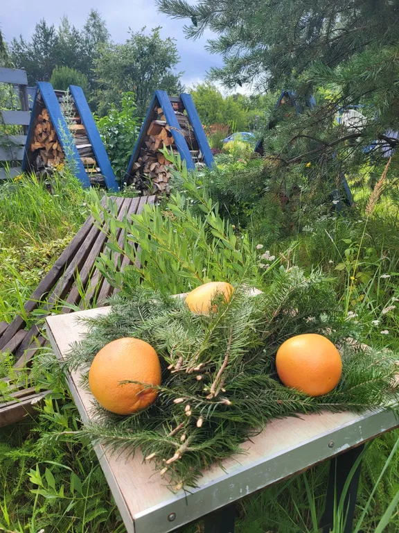 Дом Фламинго