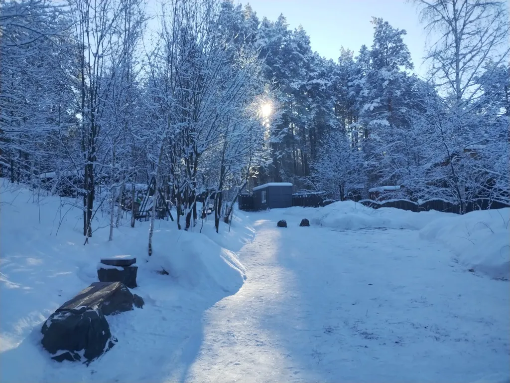 Дом в сосновом лесу