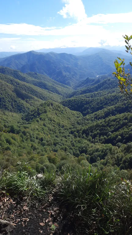 Уютный домик с чаном