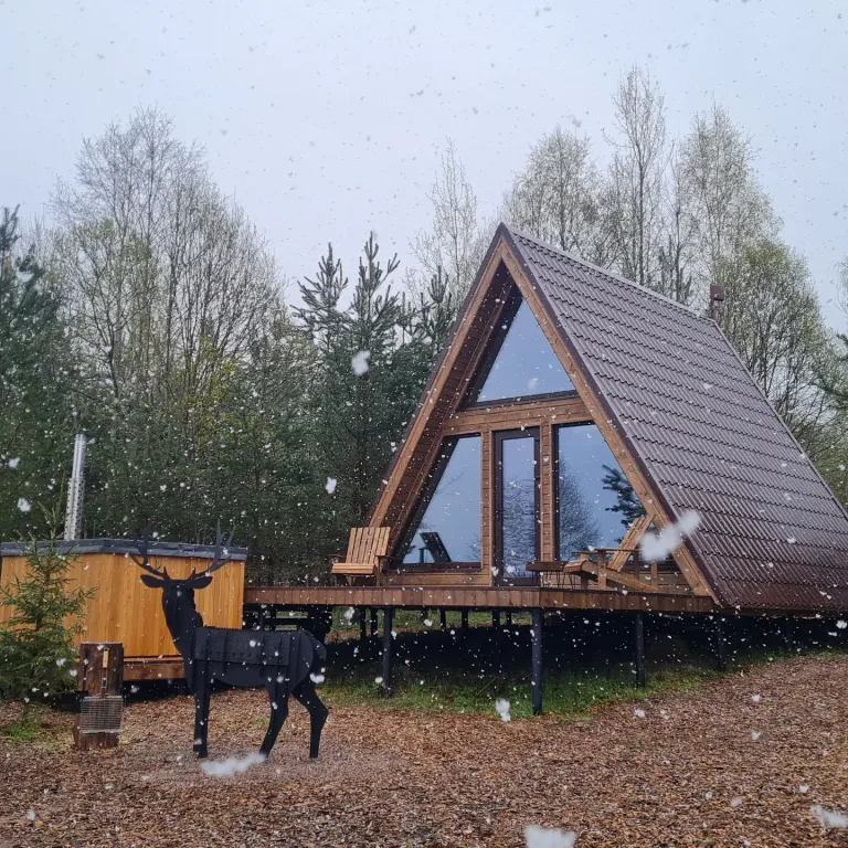 Домик в лесу Хатка бобра