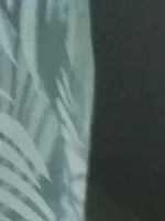 Вера
