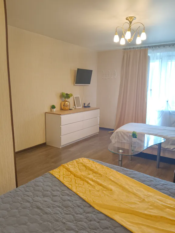 Уютная однокомнатная квартира в центре города