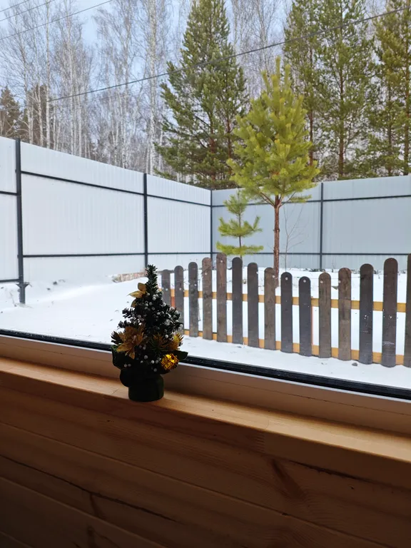 Дворик леса