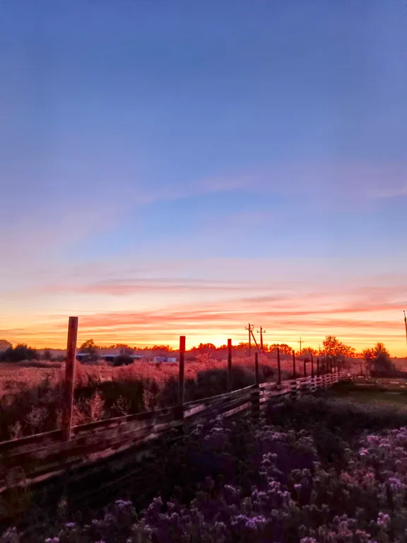 Глемпинг Мечта у Волги с бочкой Фурако