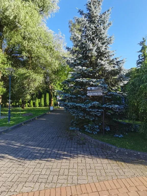 Квартира Уютная, чистая квартира в центре города рядом с парком и озером — Калининград