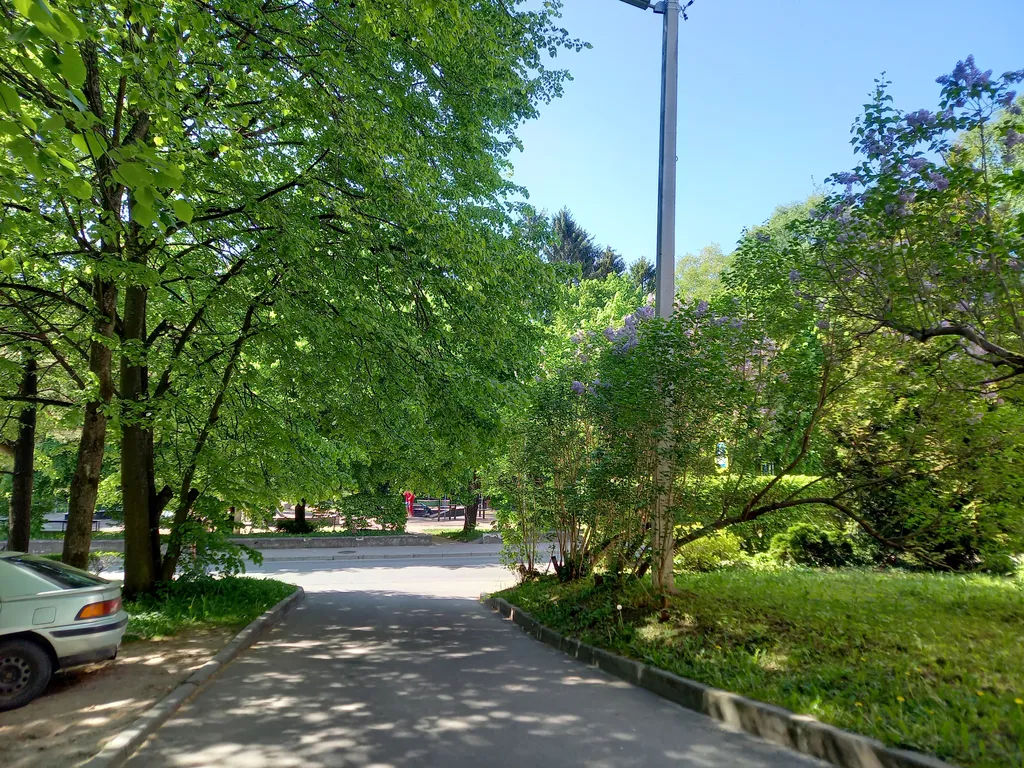 Квартира Квартира в центре — Светлогорск