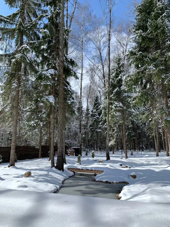 Отдых в доме в лесу с чаном и бассейном