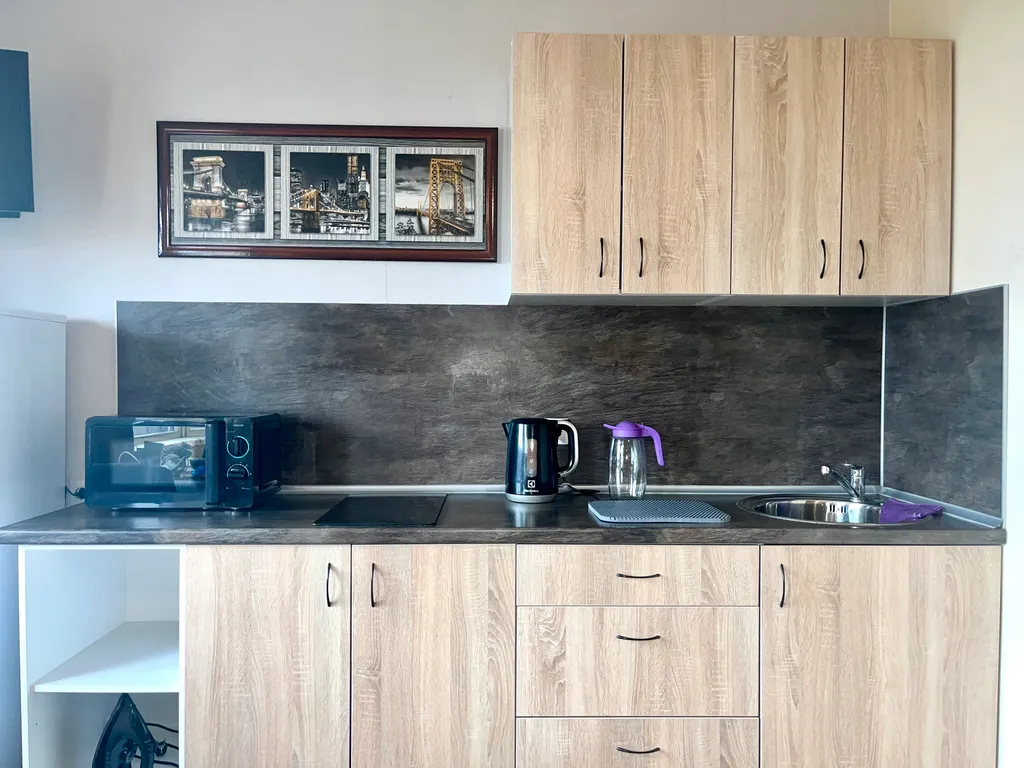 Апартамент с видом на Онежское озеро