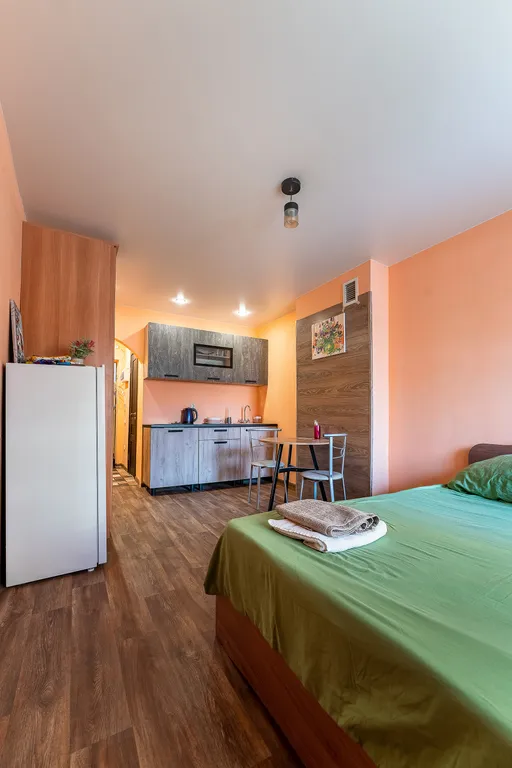 Студия Лениский район