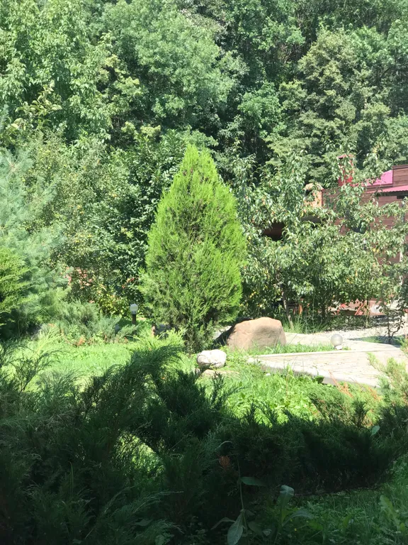 Домик с видом на санаторий