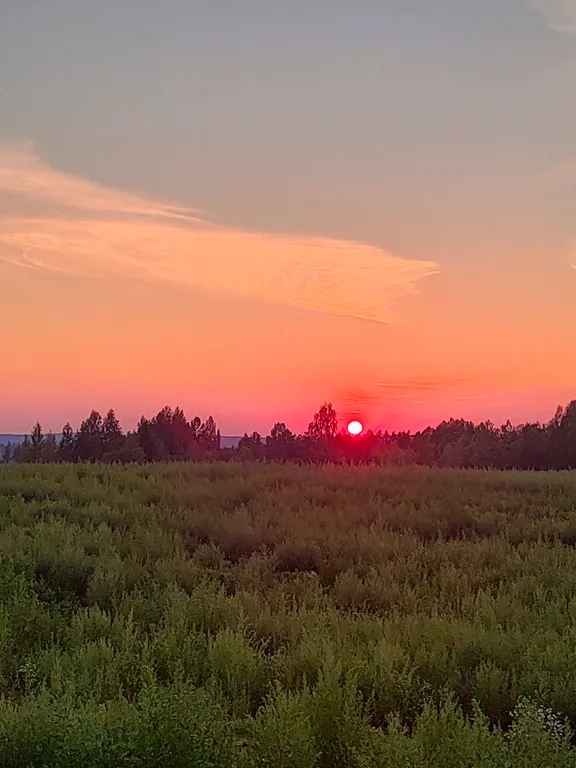 Коттедж Дом Леса — Краснознаменка