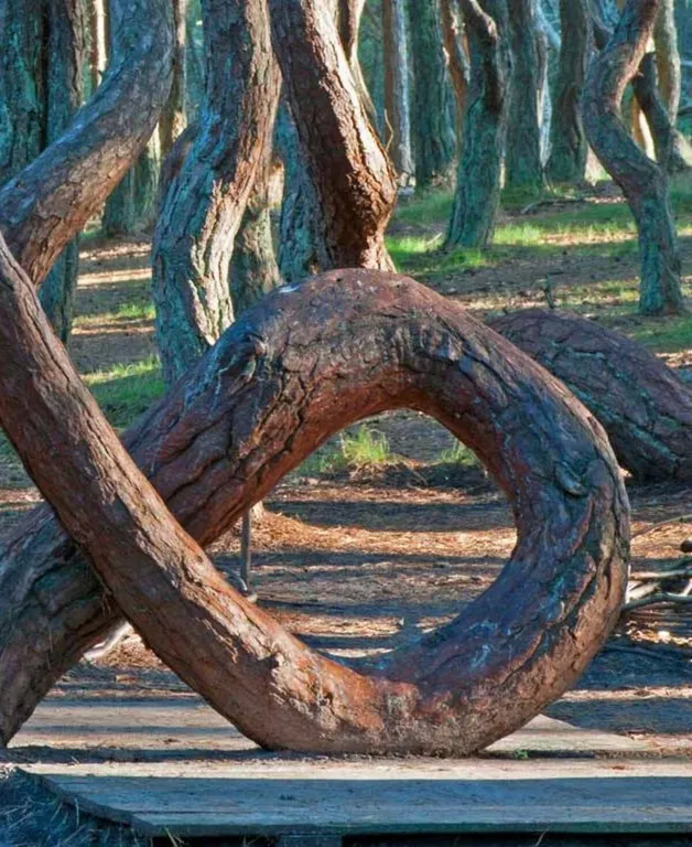 Уютный дом на Куршской Косе