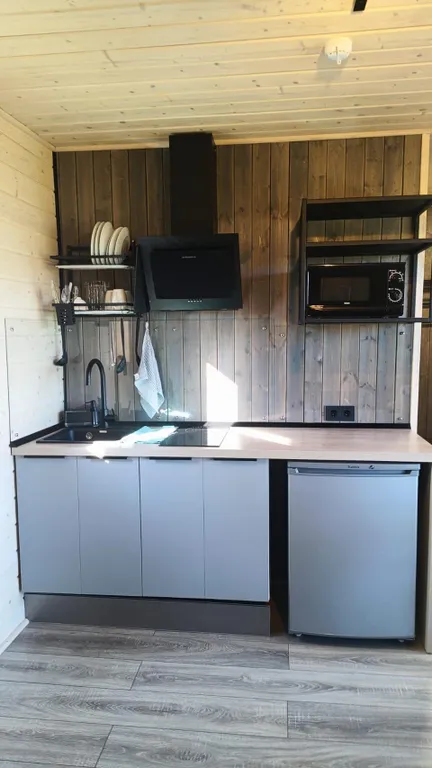 Коттедж Дом студия на берегу реки Свирь — Лодейное Поле