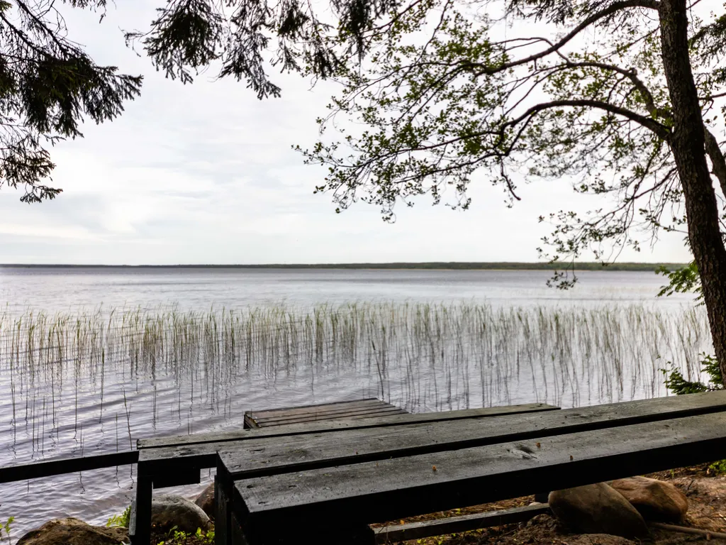 Коттедж Дом в лесу с купелью фурако и мангальной зоной (до 4-х чел) — Глубокое (Каменногорское г/п)
