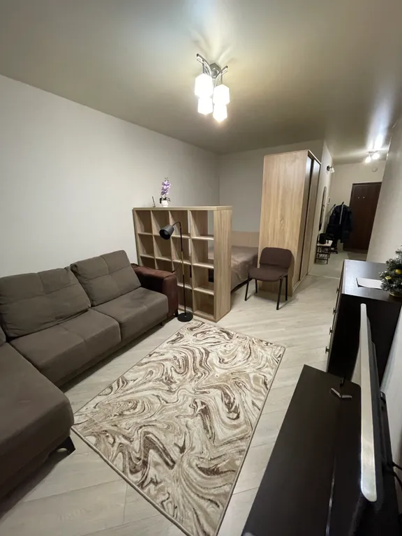 Просторная однокомнатная квартира у метро