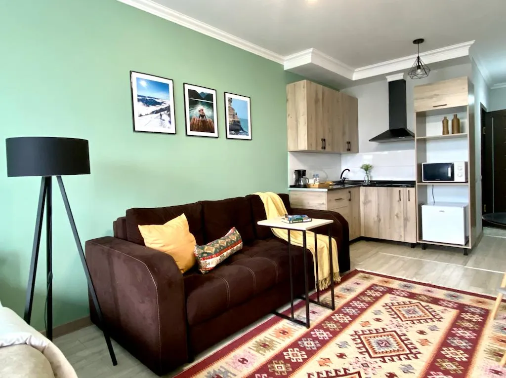 Студия Көктем с национальным колоритом и  видом на город