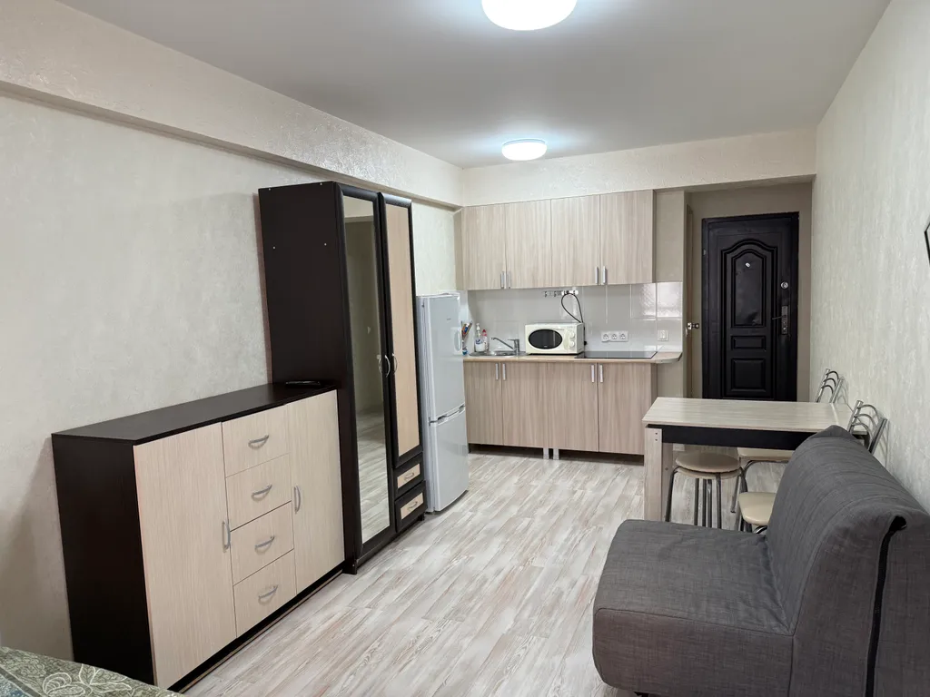 Квартира 1-комнатная Квартира — Сириус