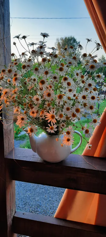 Дача у реки