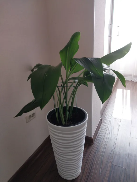 Уютная квартира у подножия горы Машук